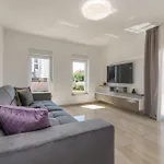Kunfin Zadarvillas ヴィラ ビビニェ